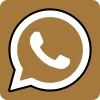 WhatsApp Icon